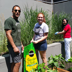 TD Bank Interns at Third Ave Garden