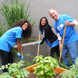 Community Steps In to Help Third Ave Urban Farm