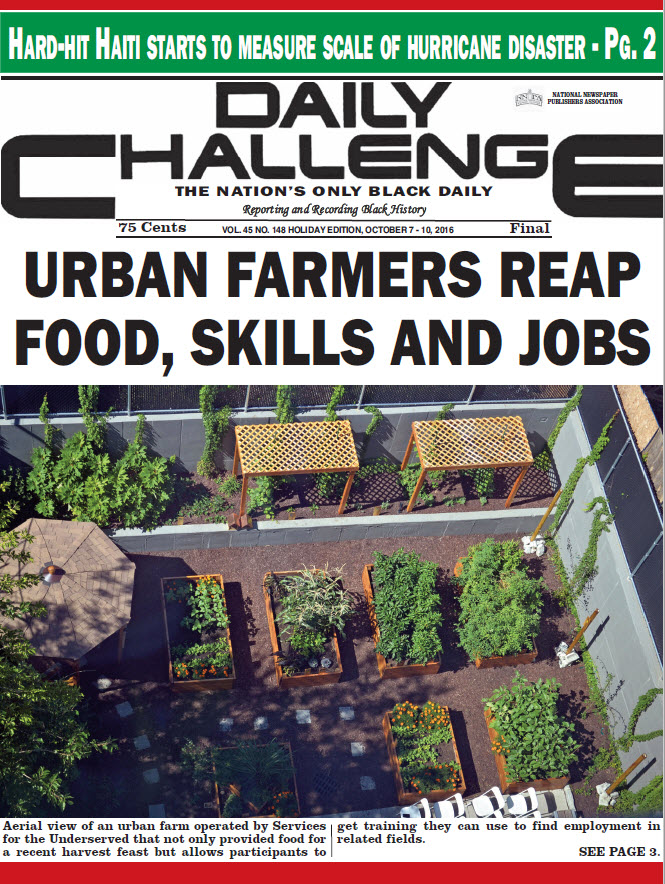 Urban Farmers Reap Food, Skills And Jobs