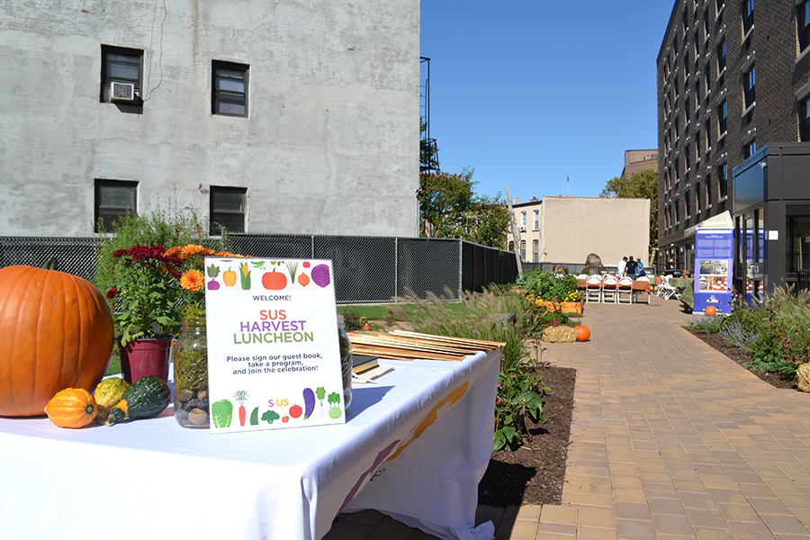 Celebrating Health, Opportunity, and Community Through Urban Farming