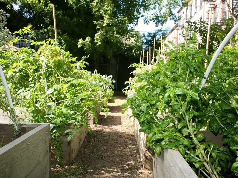 S:US Urban Farms in Architectural Digest