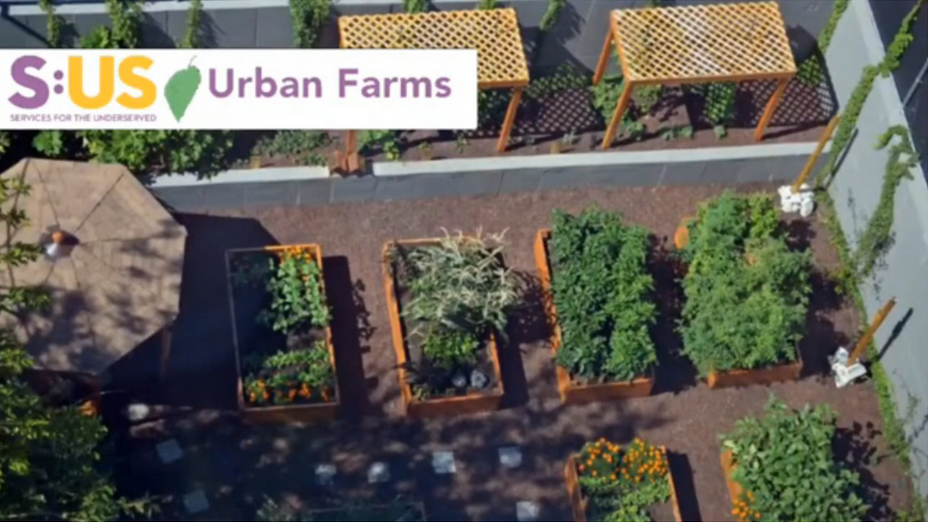 First Fridays with Urban Farms