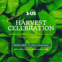 Join S:US’ Harvest Celebration on September 17!