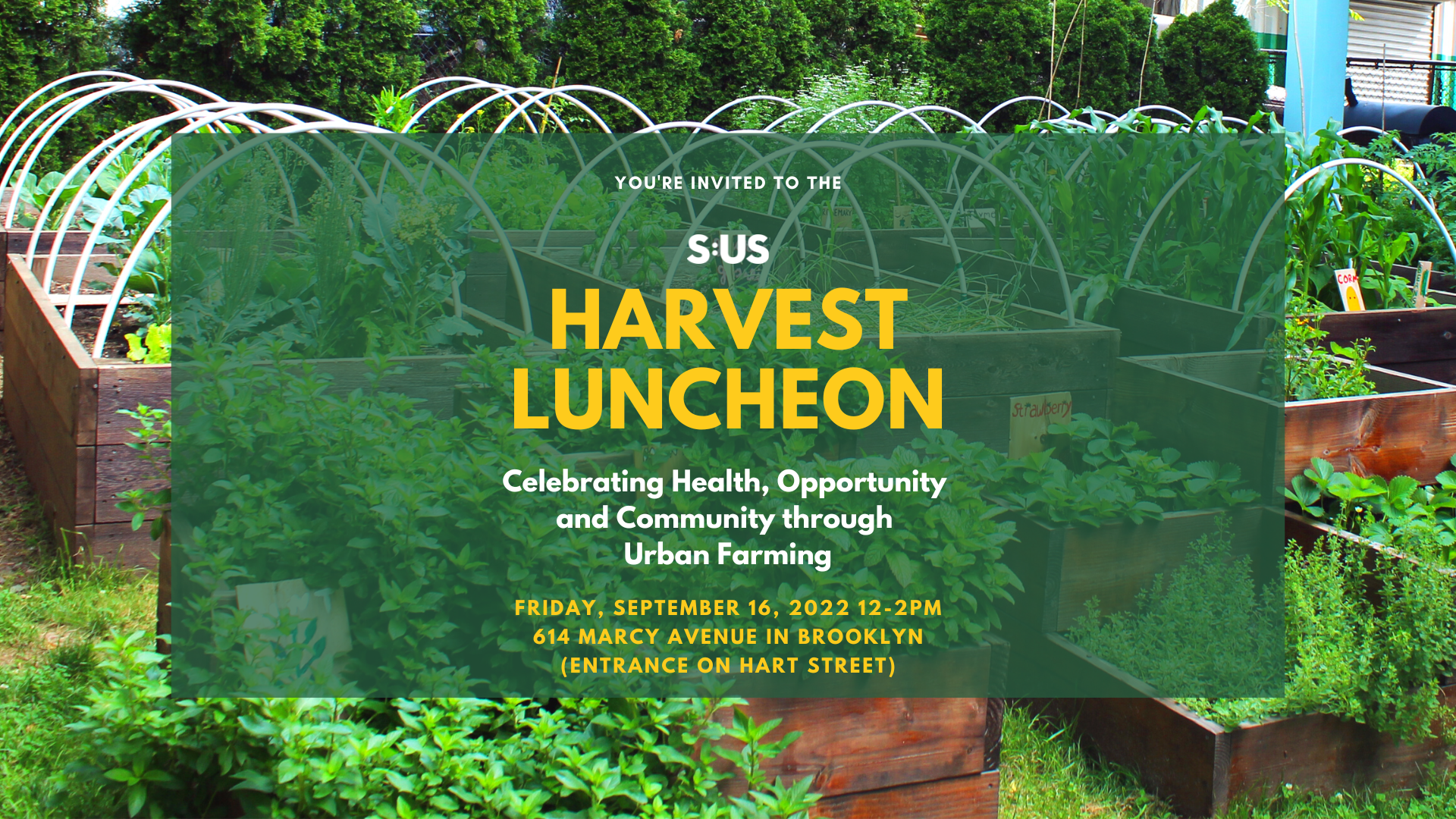 Join Our Harvest Luncheon on September 16