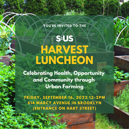 Join Our Harvest Luncheon on September 16