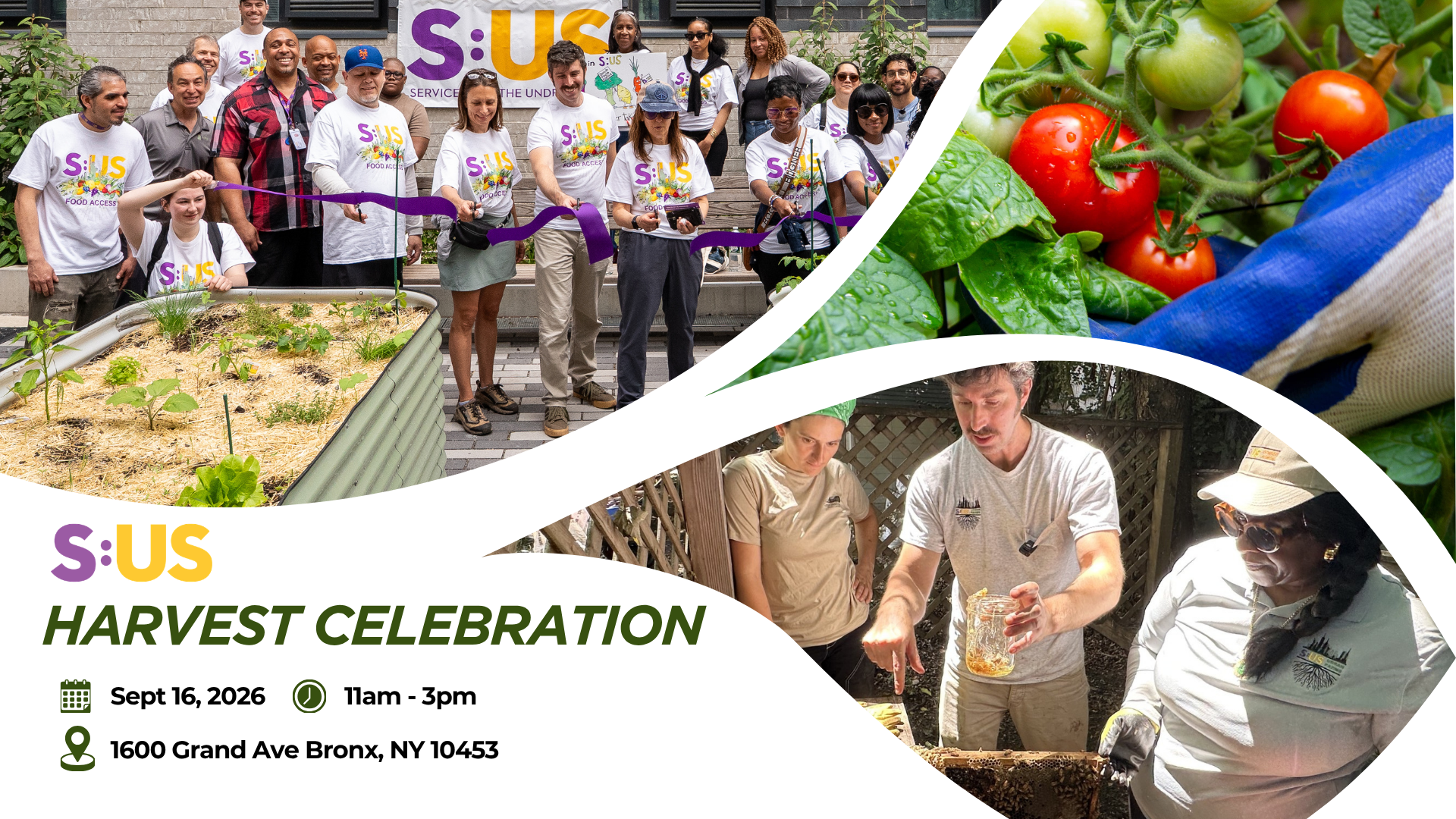 Celebrate the Harvest and the Power of Community