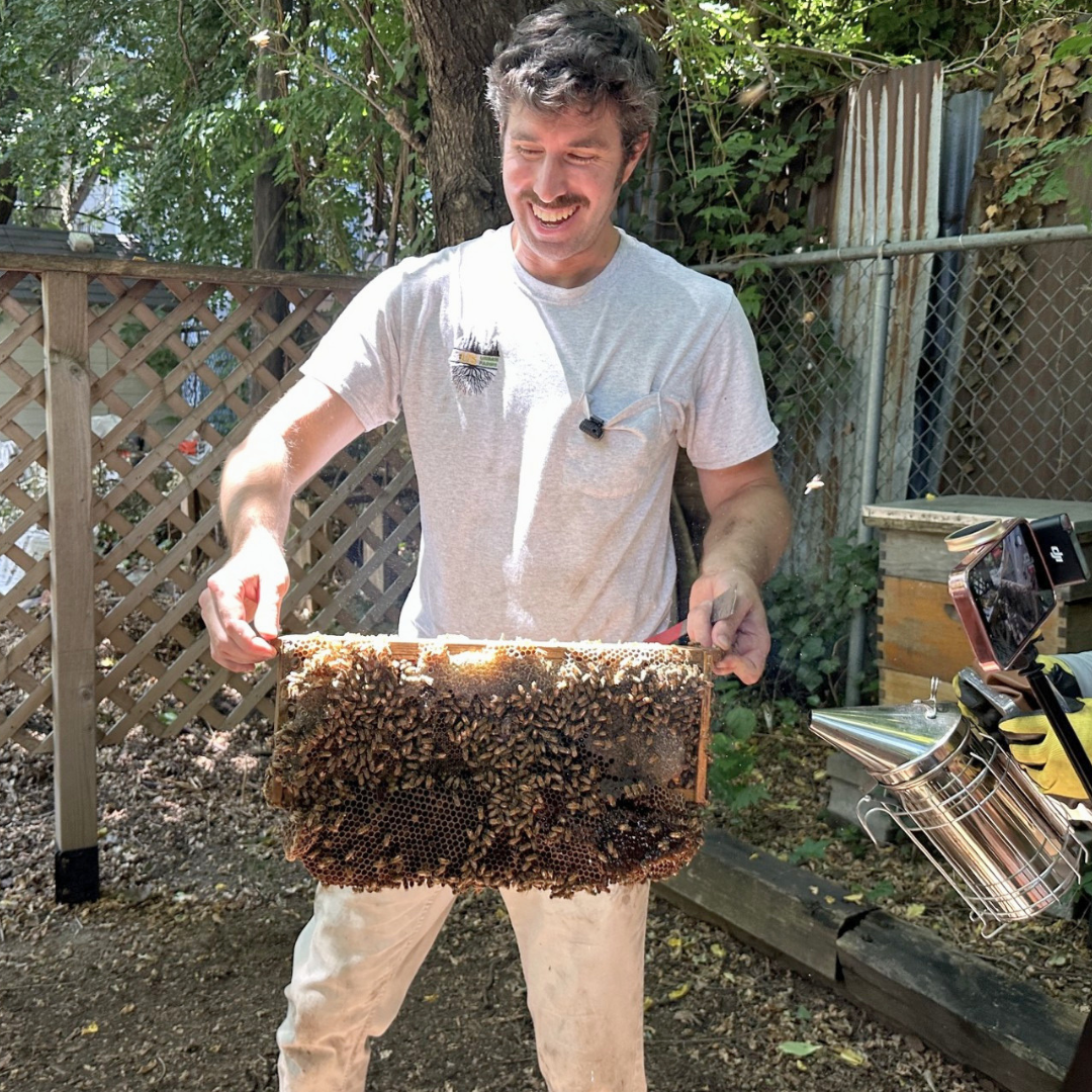 Brooklyn beekeeping program helps people with disabilities build skills, community and confidence